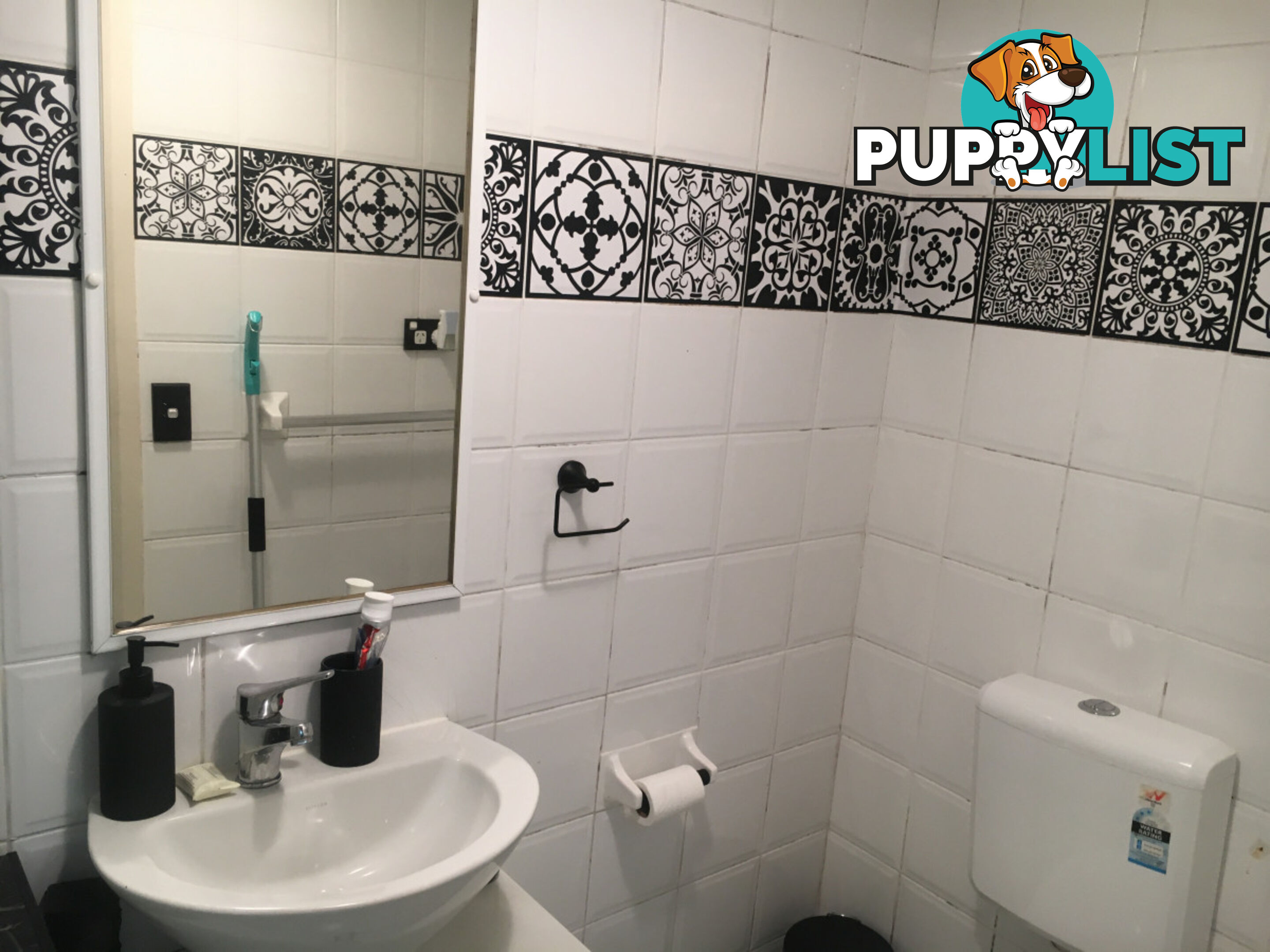 97 Leinster Street Paddington NSW 2021