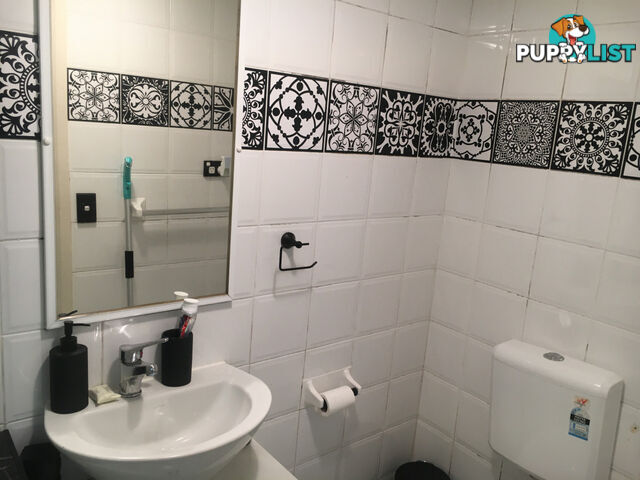 97 Leinster Street Paddington NSW 2021