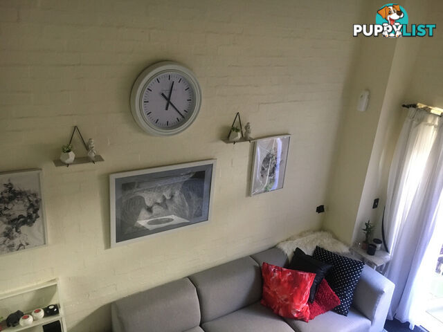 97 Leinster Street Paddington NSW 2021