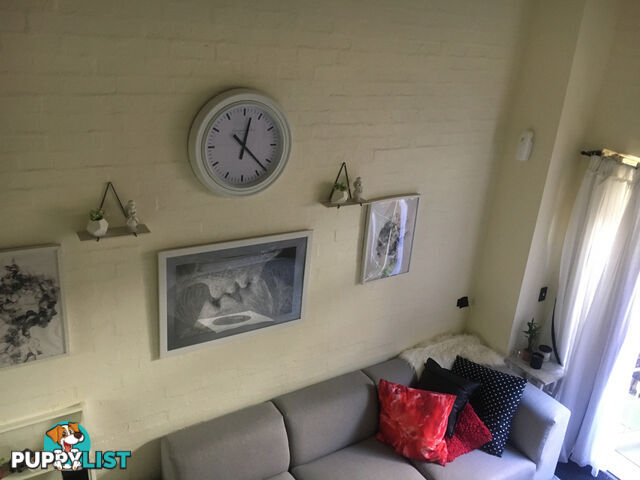 97 Leinster Street Paddington NSW 2021