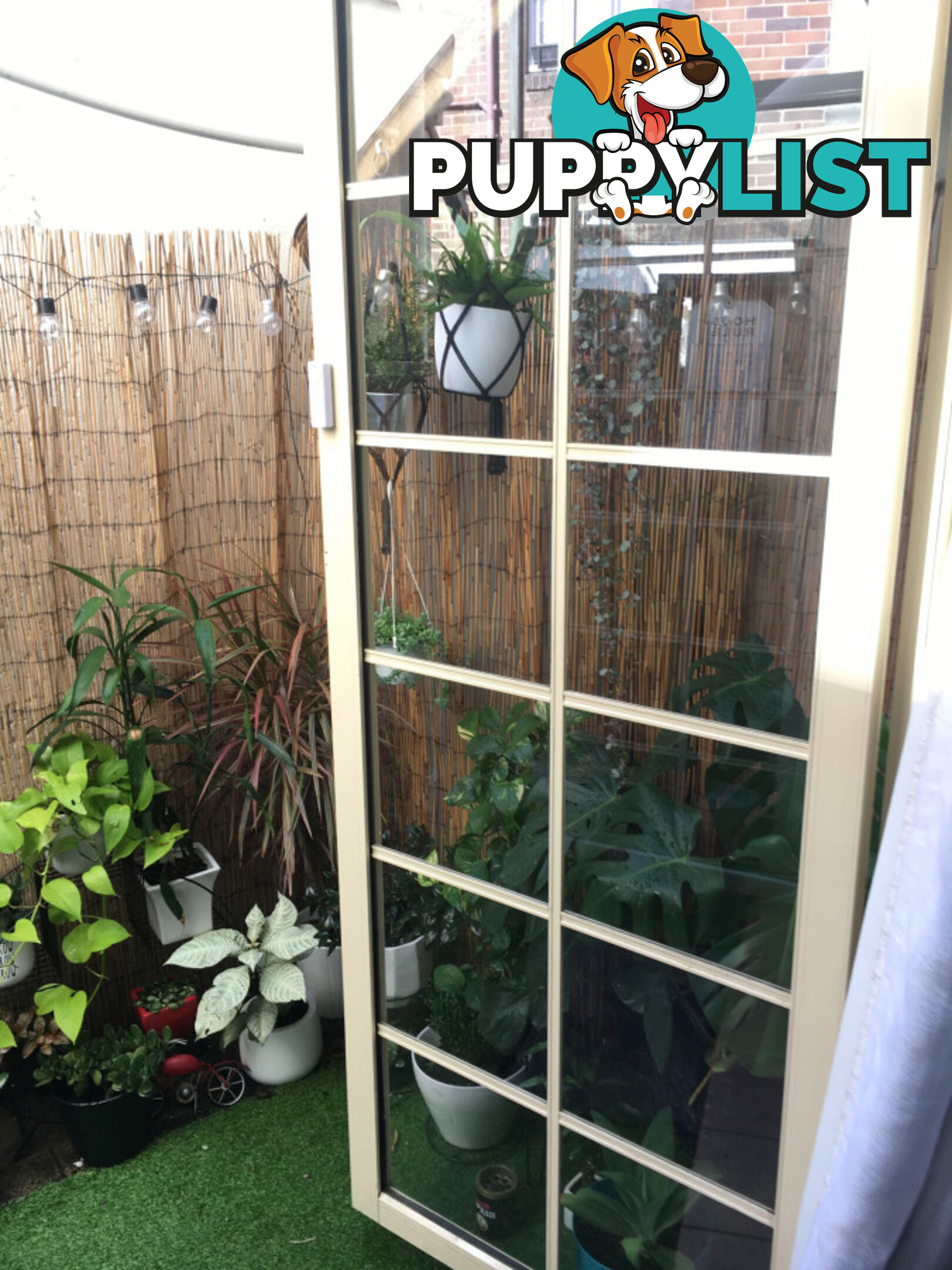 97 Leinster Street Paddington NSW 2021