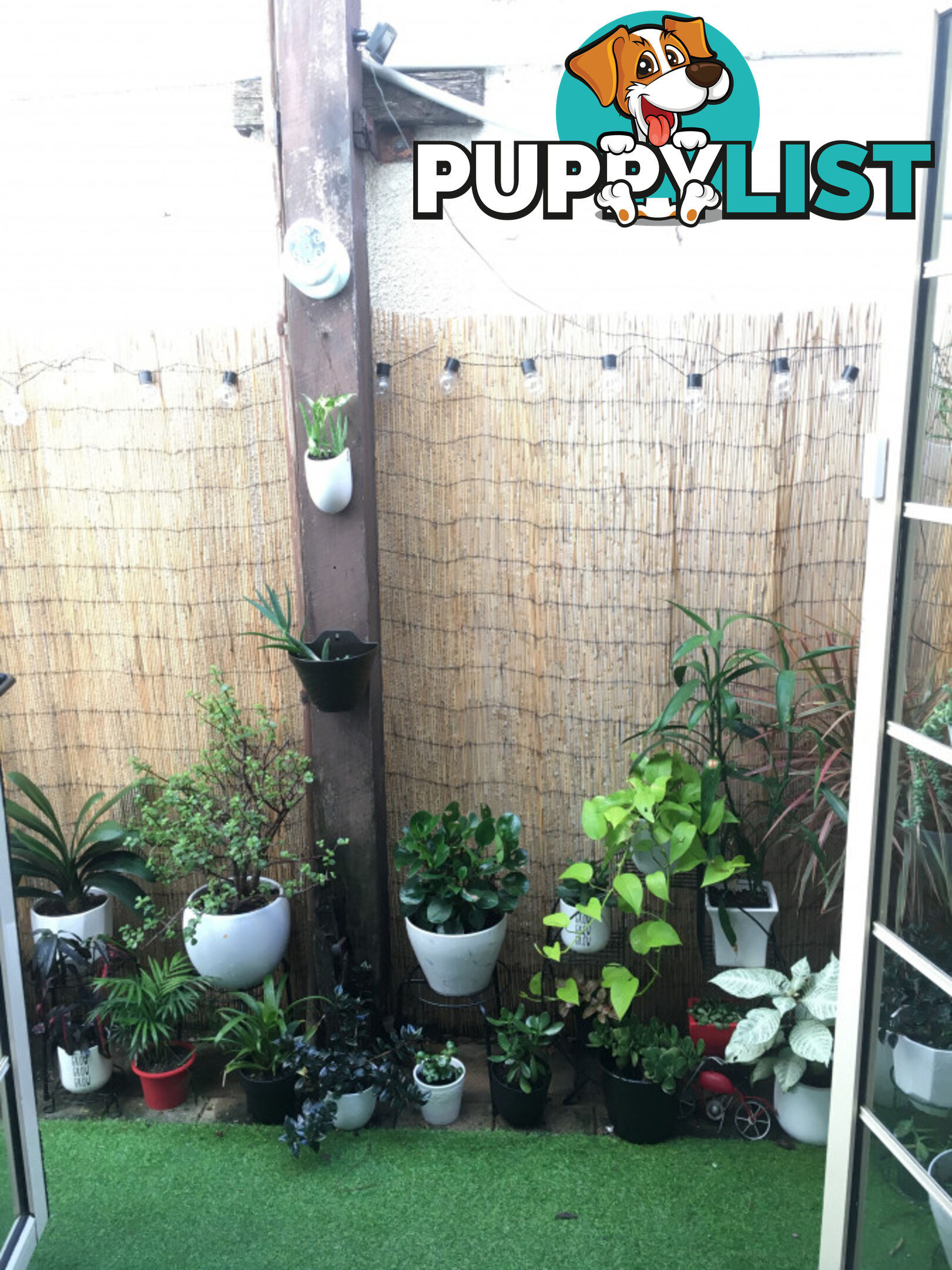 97 Leinster Street Paddington NSW 2021