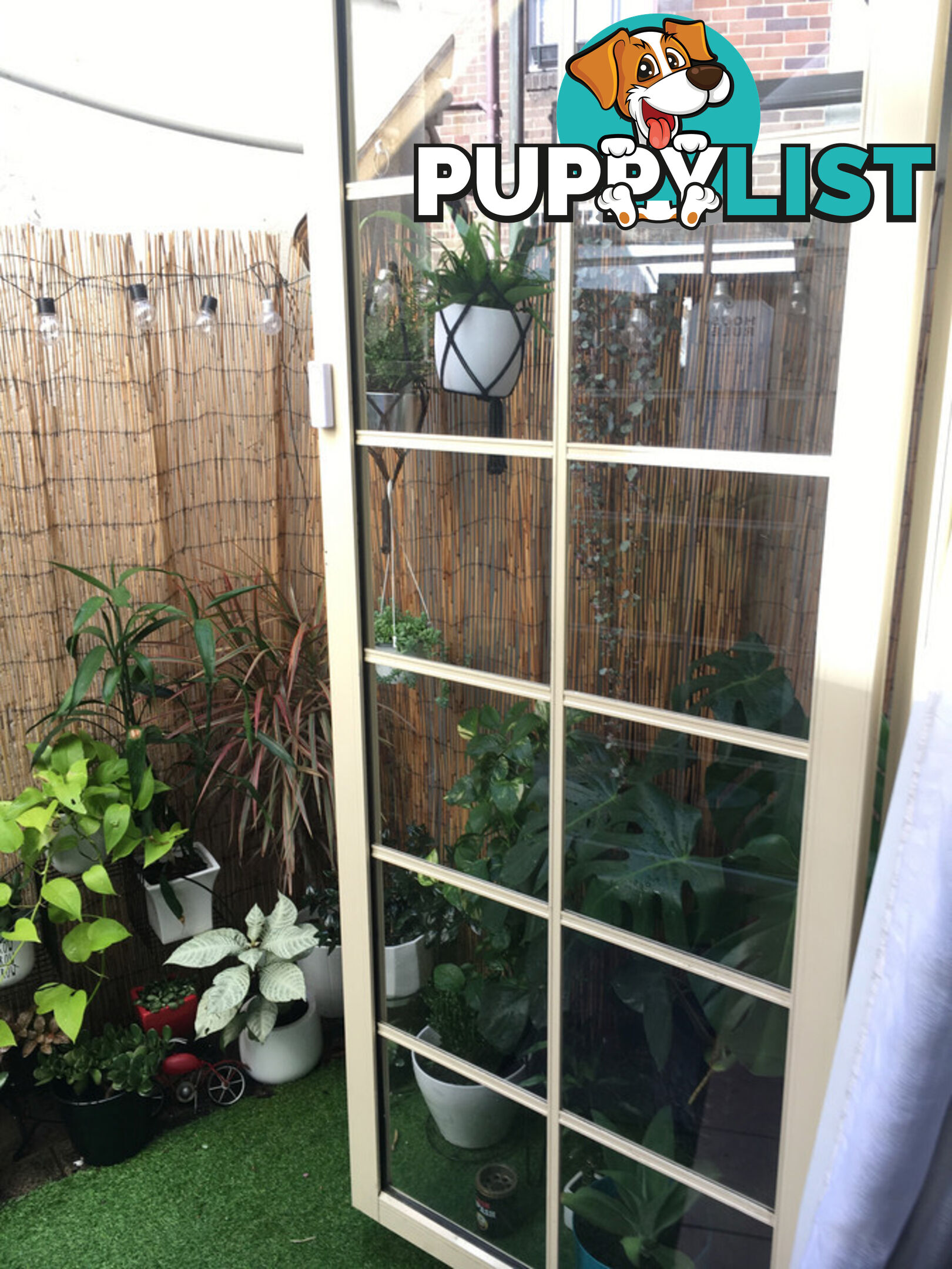 97 Leinster Street Paddington NSW 2021