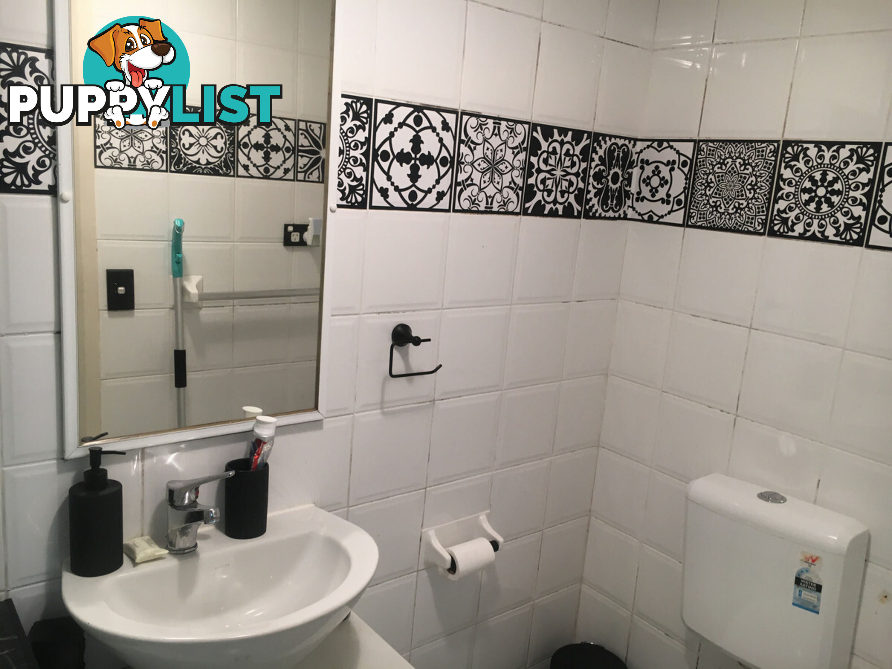 97 Leinster Street Paddington NSW 2021
