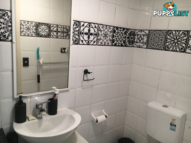 97 Leinster Street Paddington NSW 2021