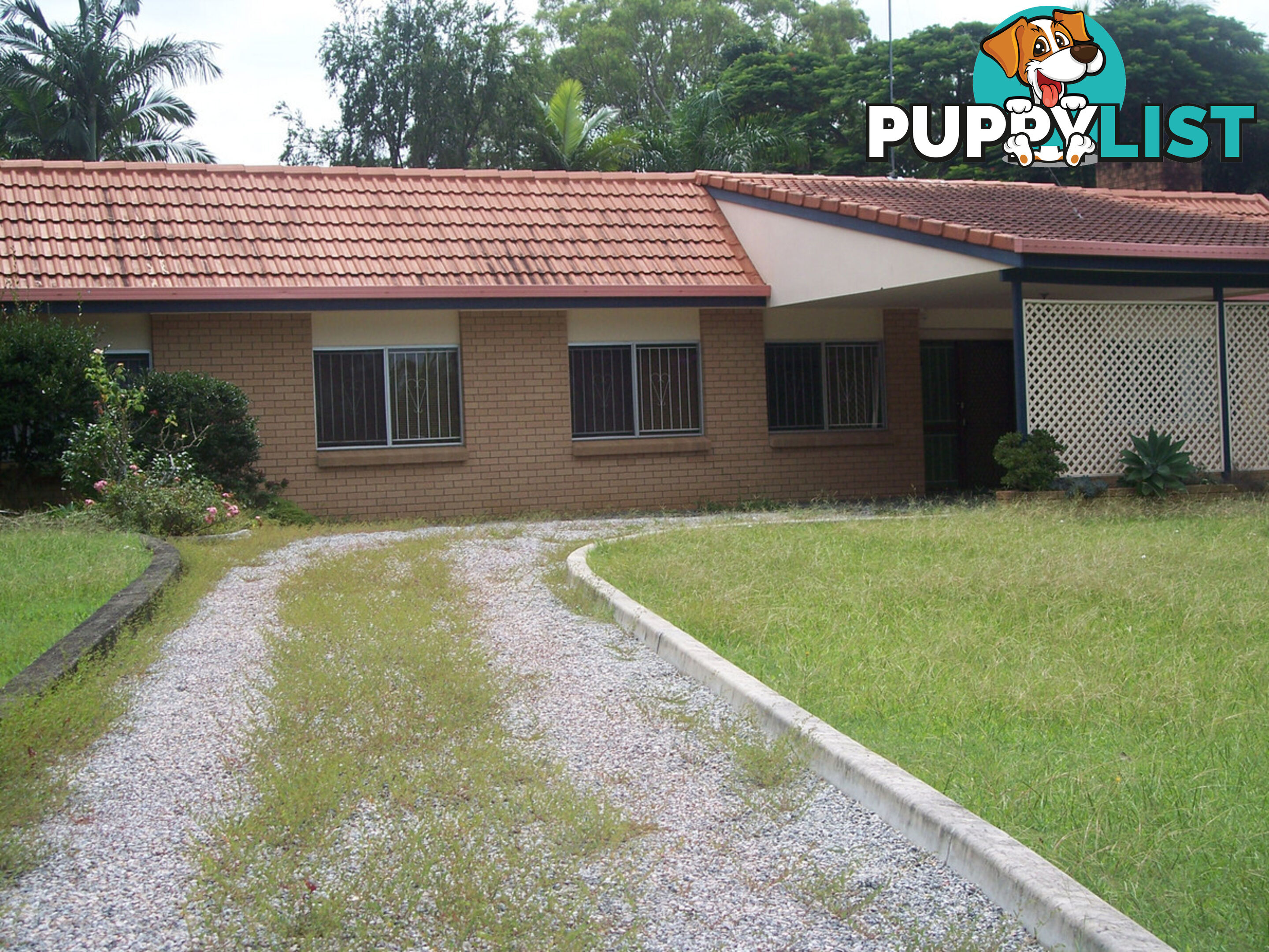 8 Littler Street Sunnybank QLD 4109