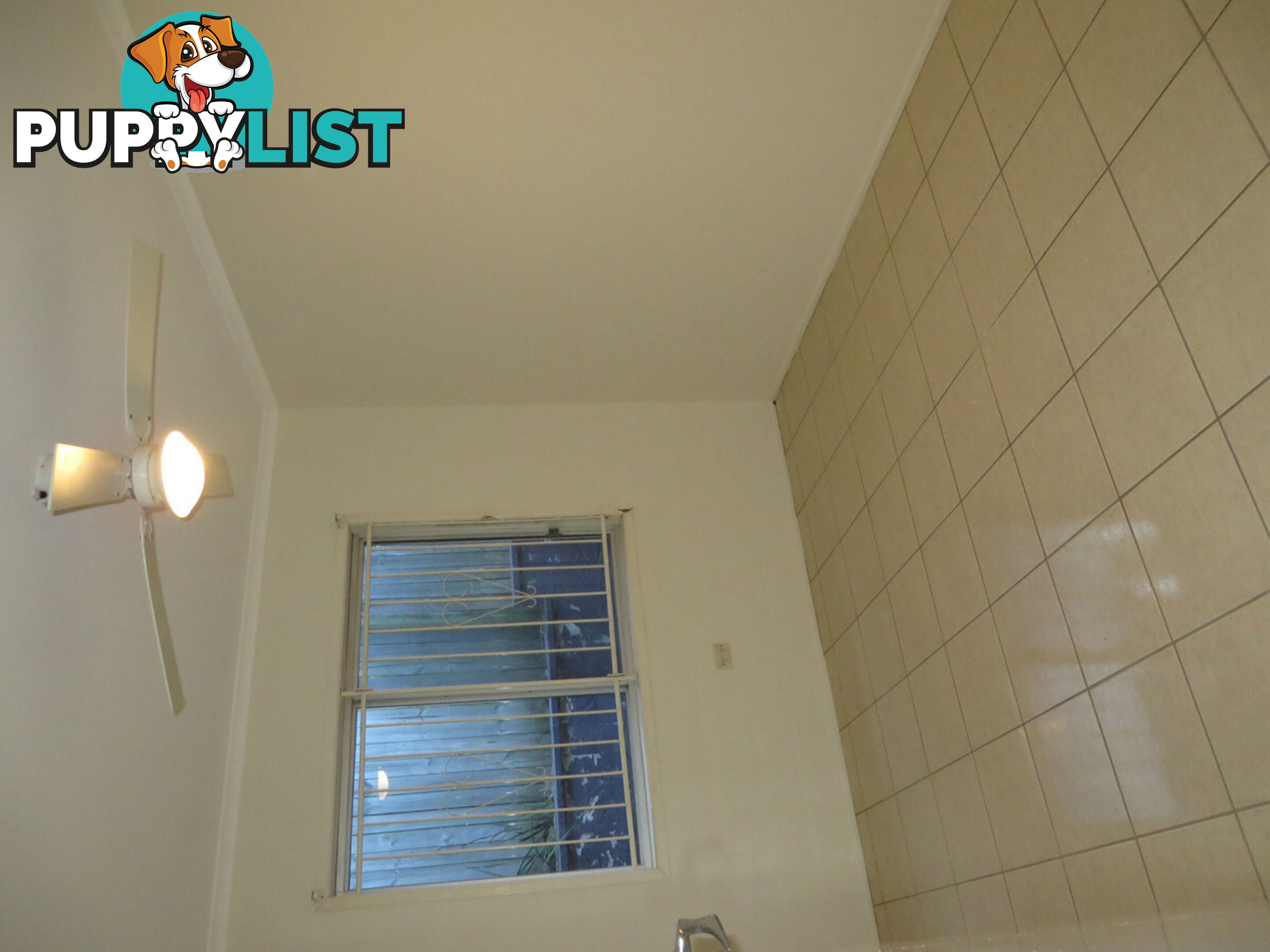 8 Littler Street Sunnybank QLD 4109
