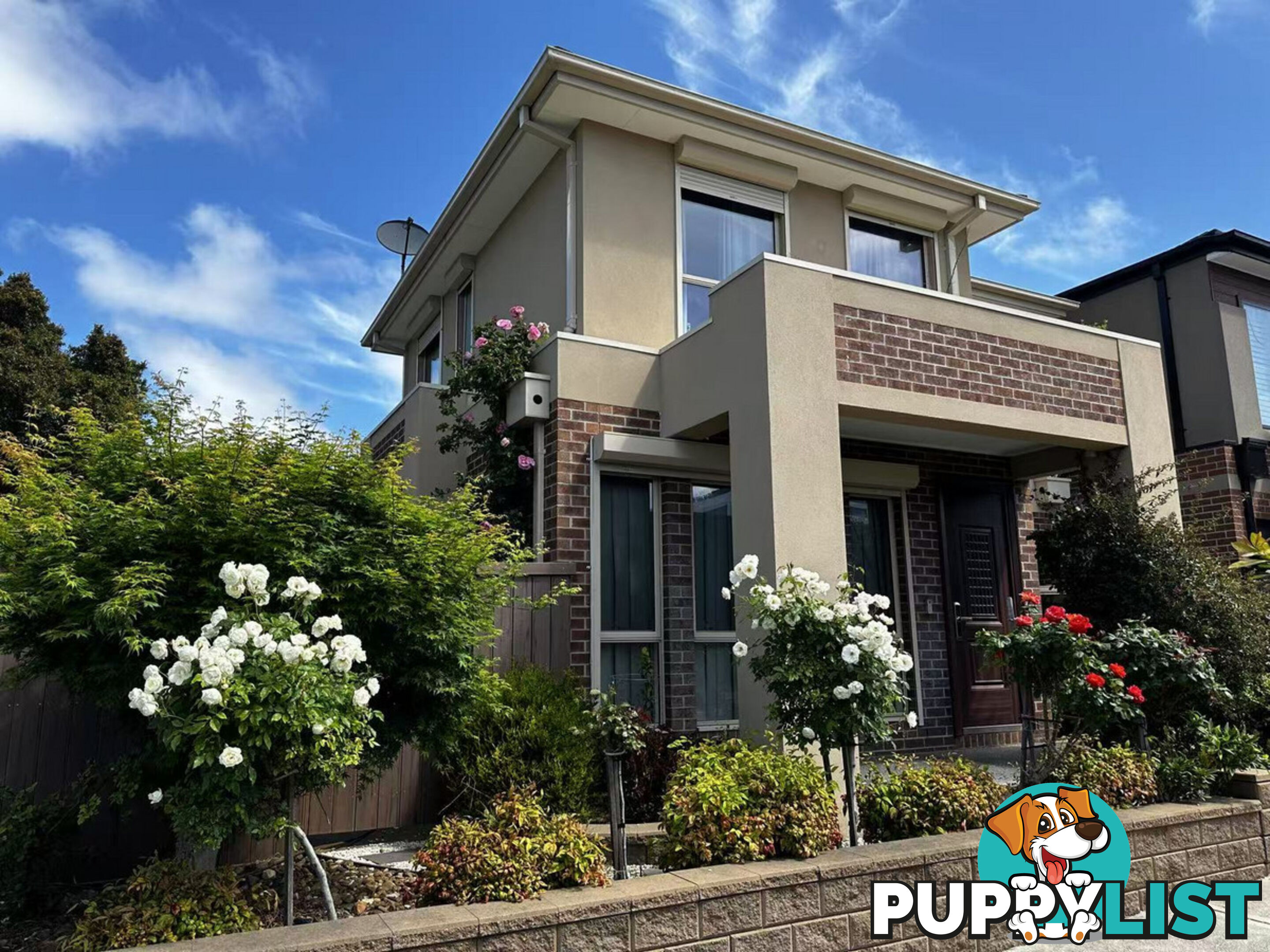 18 Adelaide Street Mckinnon VIC 3204