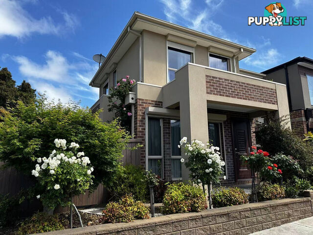 18 Adelaide Street Mckinnon VIC 3204