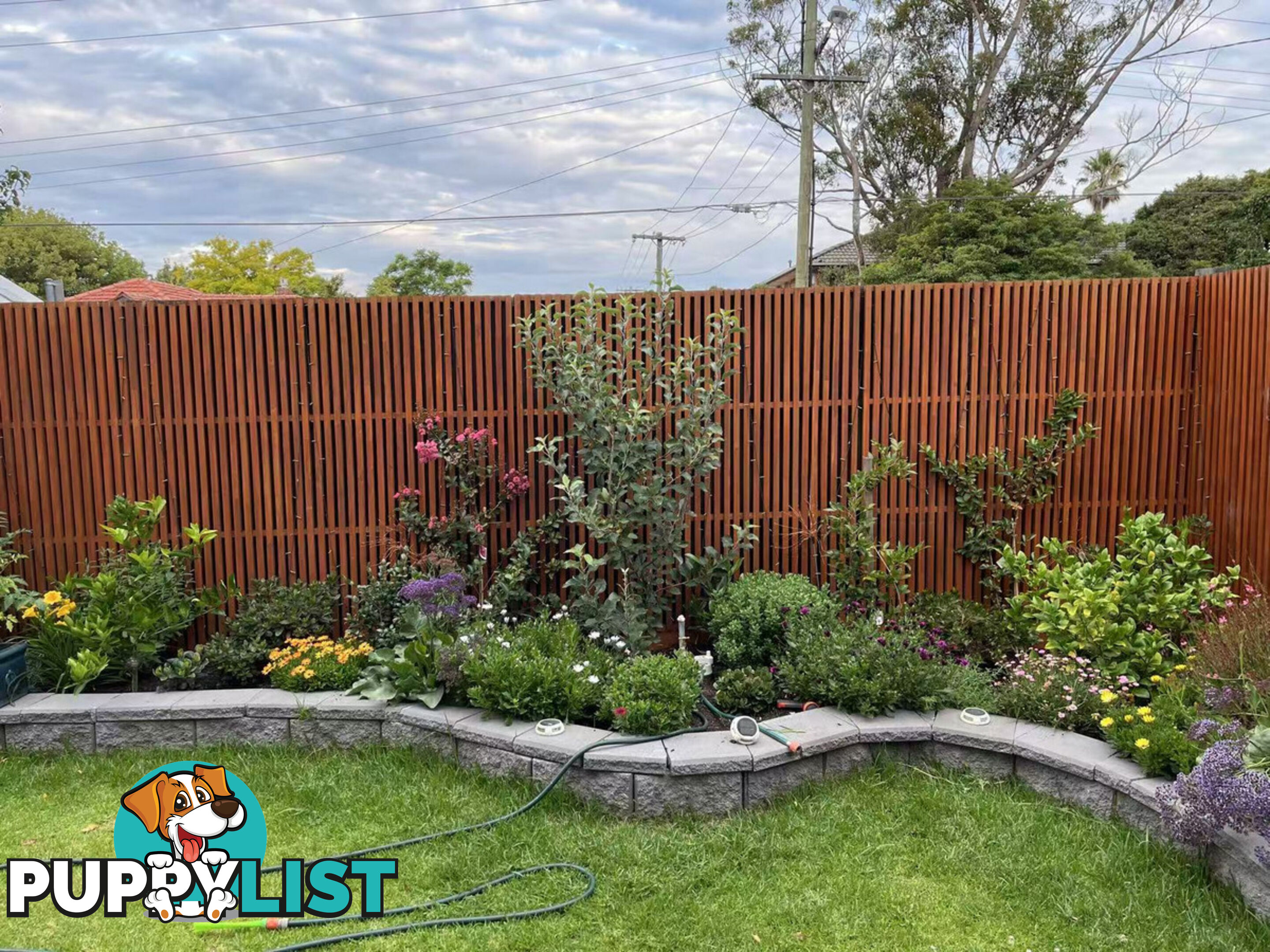 18 Adelaide Street Mckinnon VIC 3204
