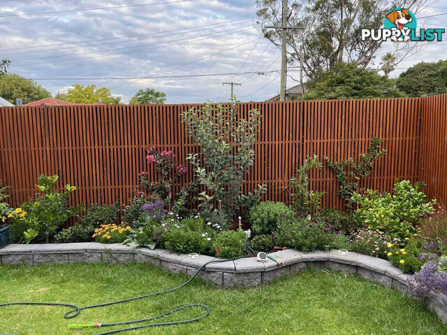 18 Adelaide Street Mckinnon VIC 3204