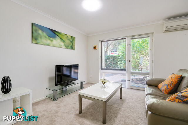 11 22 Cambridge Street North Adelaide SA 5006