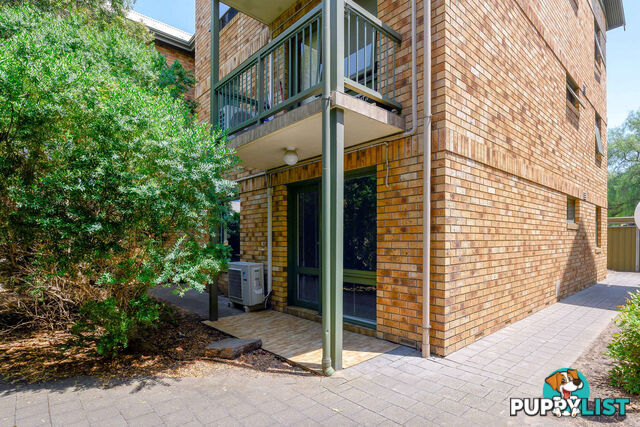 11 22 Cambridge Street North Adelaide SA 5006