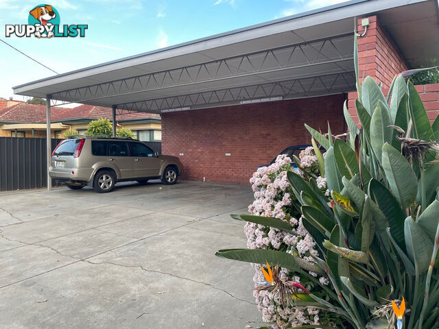 4 332 Greenhill Road Glenside SA 5065