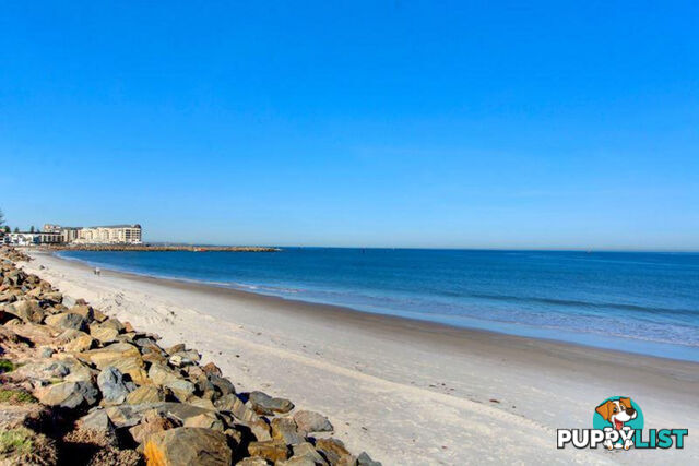 9 52 North Esplanade Glenelg North SA 5045