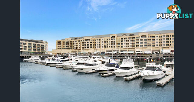 9 52 North Esplanade Glenelg North SA 5045