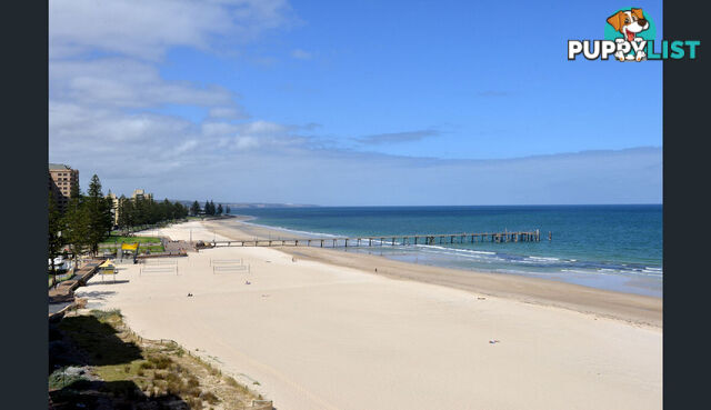 9 52 North Esplanade Glenelg North SA 5045