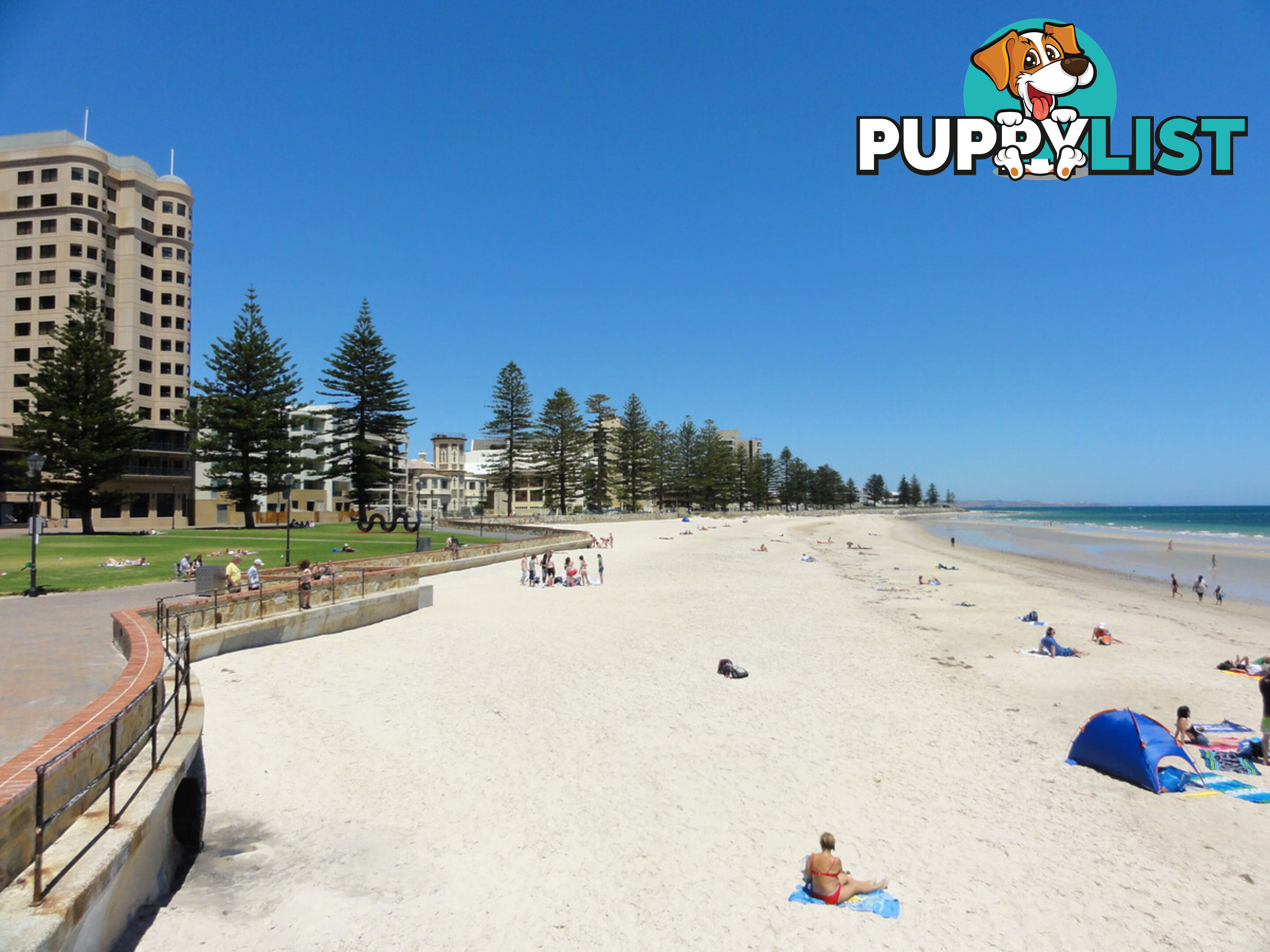 9 52 North Esplanade Glenelg North SA 5045