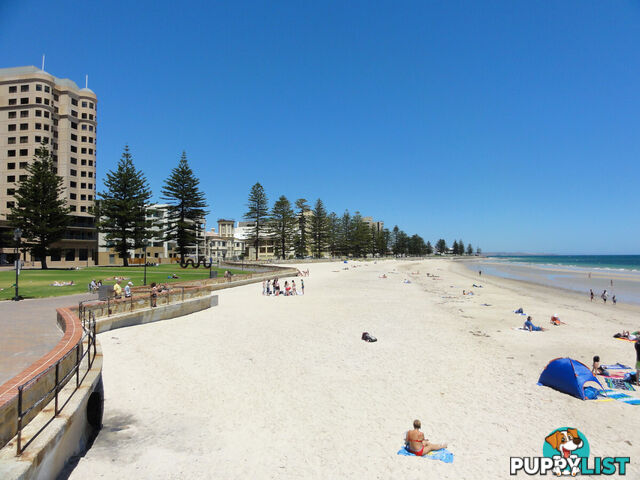 9 52 North Esplanade Glenelg North SA 5045
