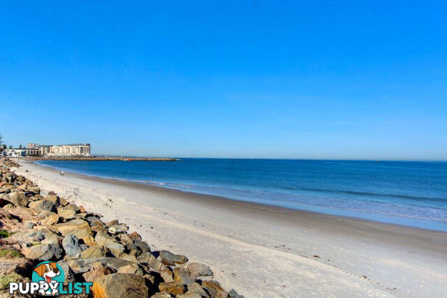 9 52 North Esplanade Glenelg North SA 5045