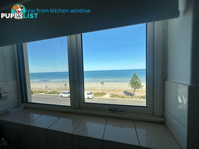 9 52 North Esplanade Glenelg North SA 5045