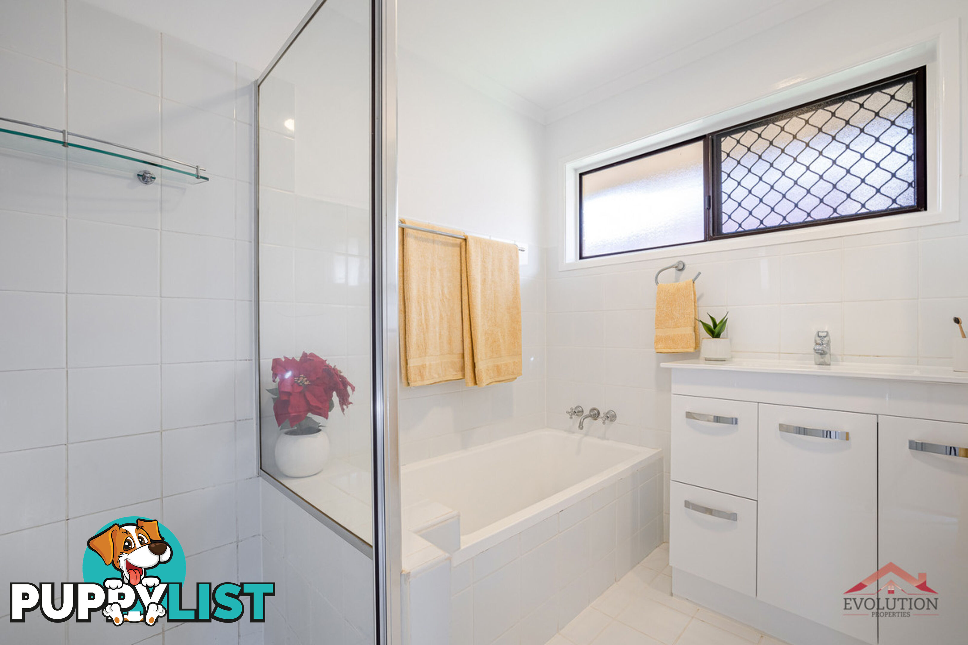 19 Sunstone Street Manly West QLD 4179