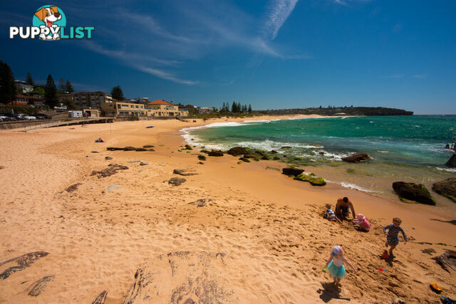 53A Curl Curl Parade Curl Curl NSW 2096