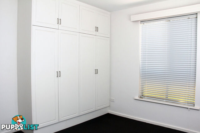 4 63 Osmond Terrace Norwood SA 5067