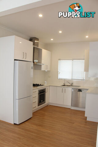 4 63 Osmond Terrace Norwood SA 5067