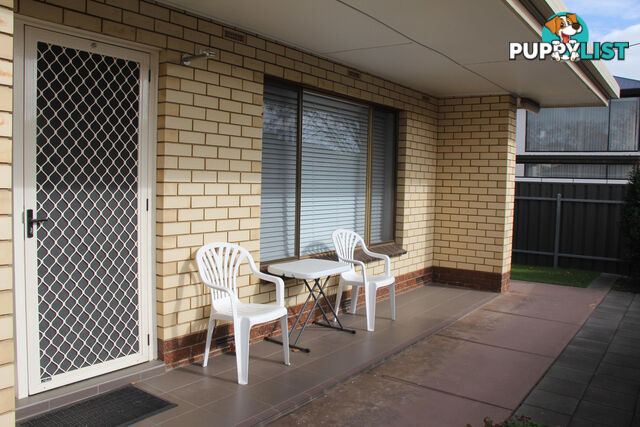 4 63 Osmond Terrace Norwood SA 5067