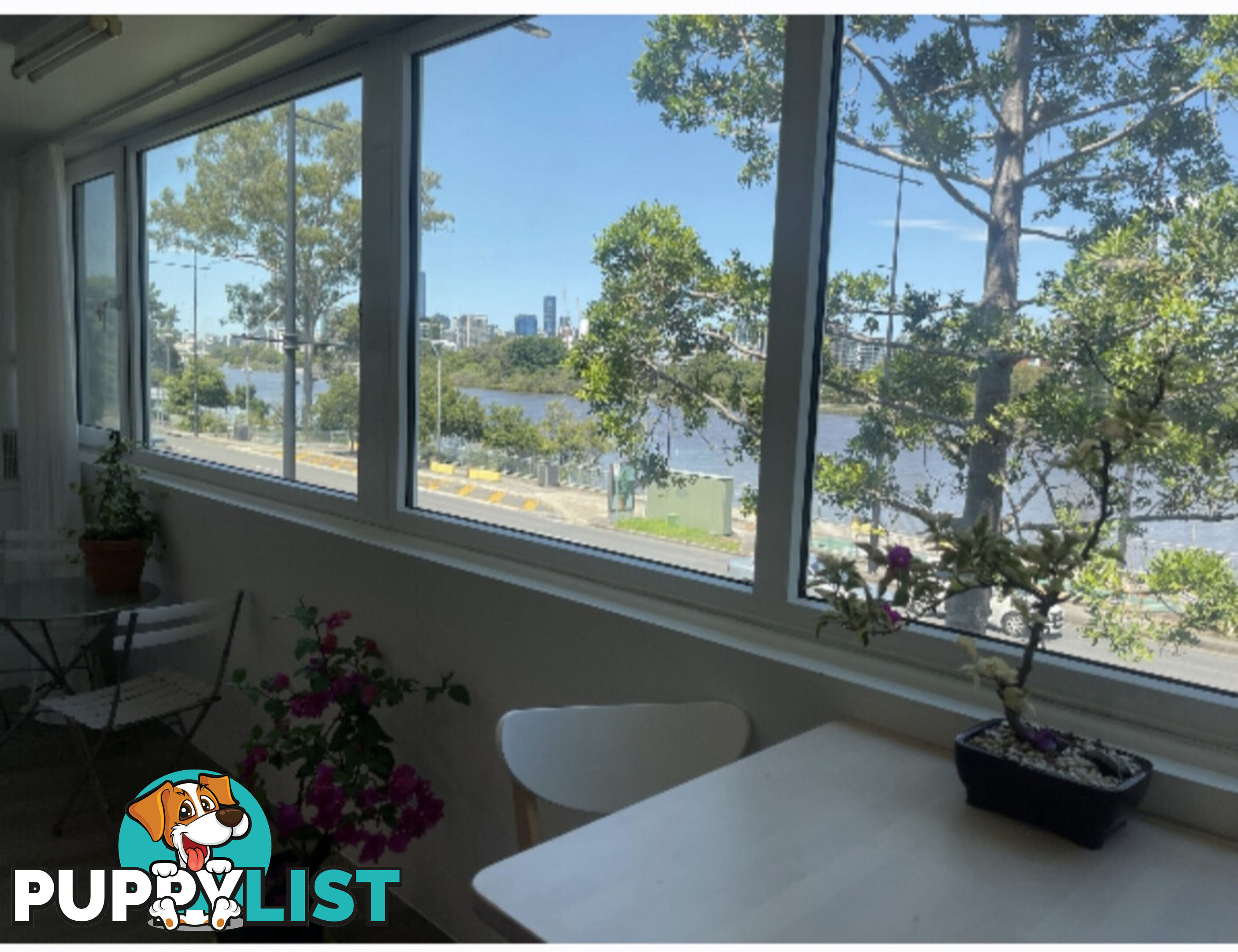 3 2 Patrick Lane Toowong QLD 4066