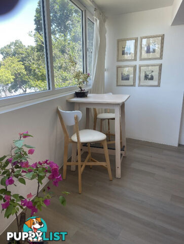 3 2 Patrick Lane Toowong QLD 4066