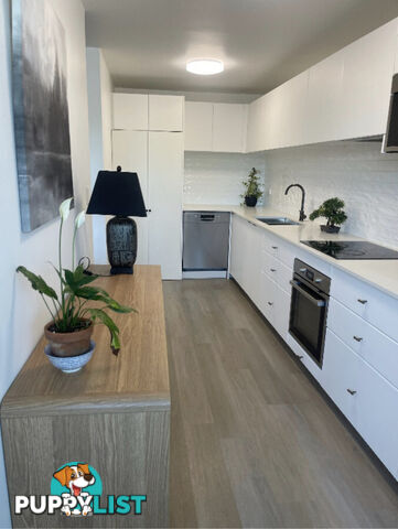 3 2 Patrick Lane Toowong QLD 4066