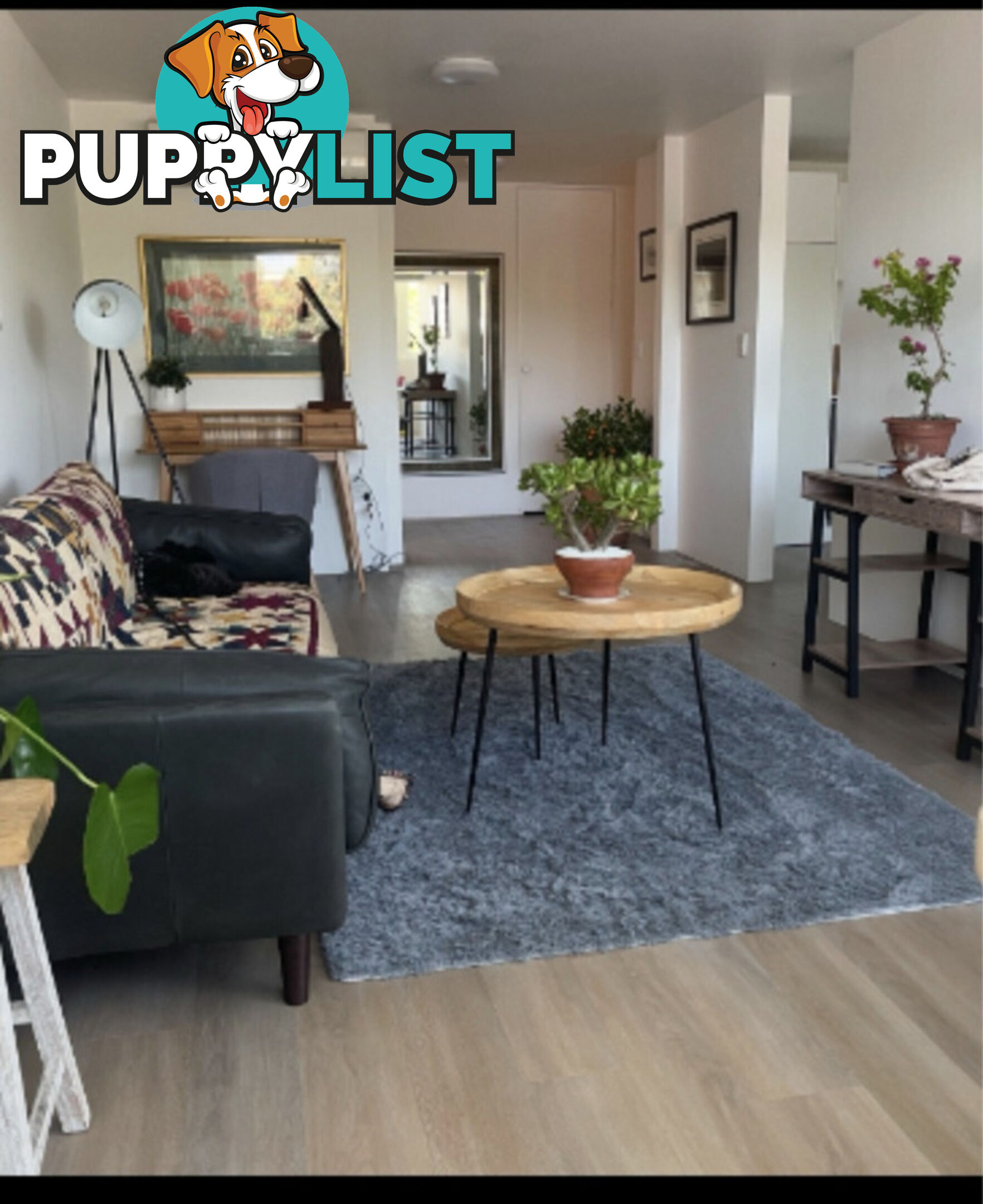 3 2 Patrick Lane Toowong QLD 4066