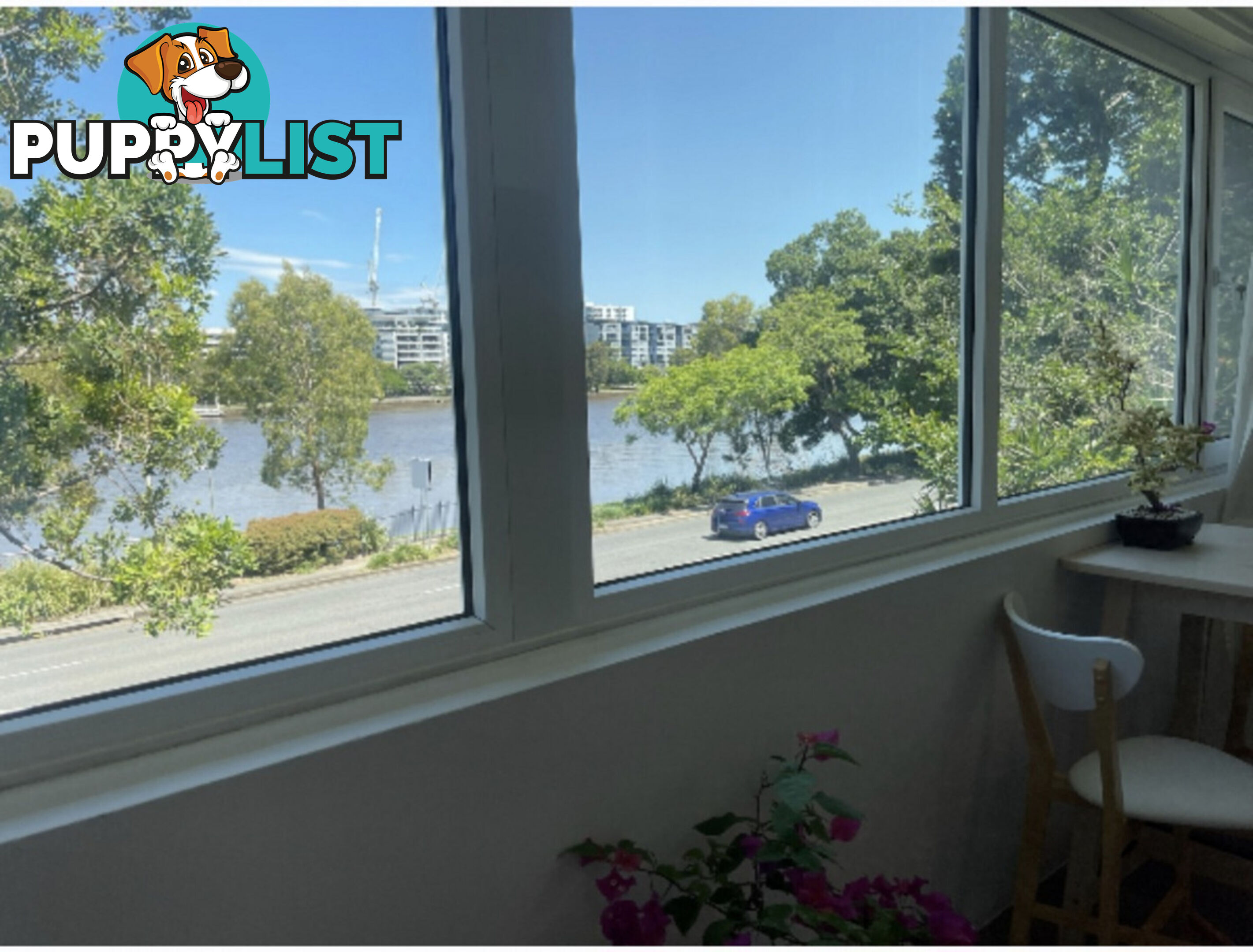 3 2 Patrick Lane Toowong QLD 4066