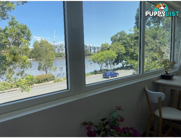 3 2 Patrick Lane Toowong QLD 4066