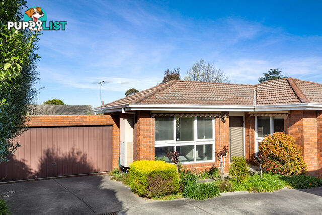 3 44 View Street Mont Albert VIC 3127