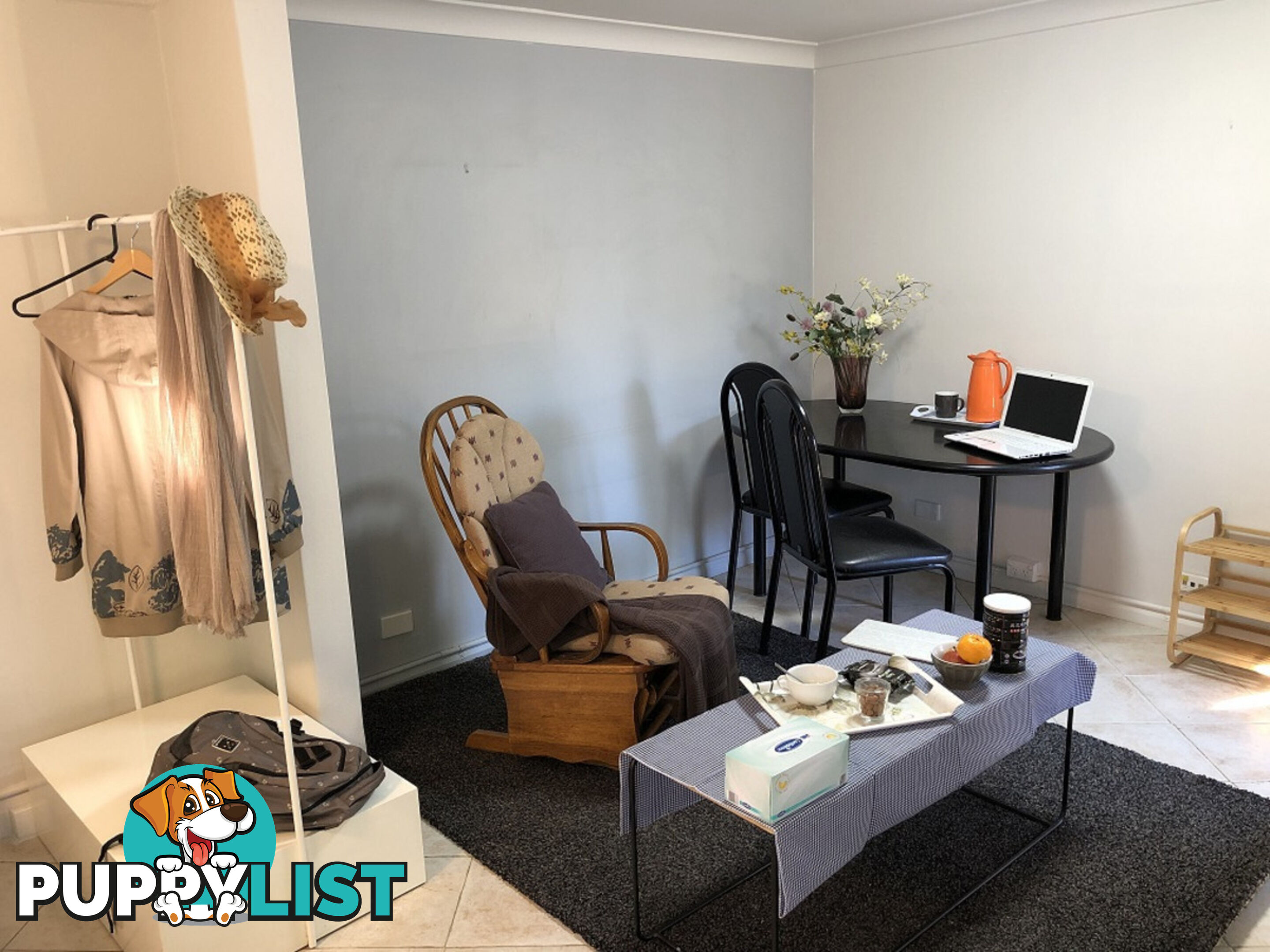 17 Ettrick Street Ashbury NSW 2193