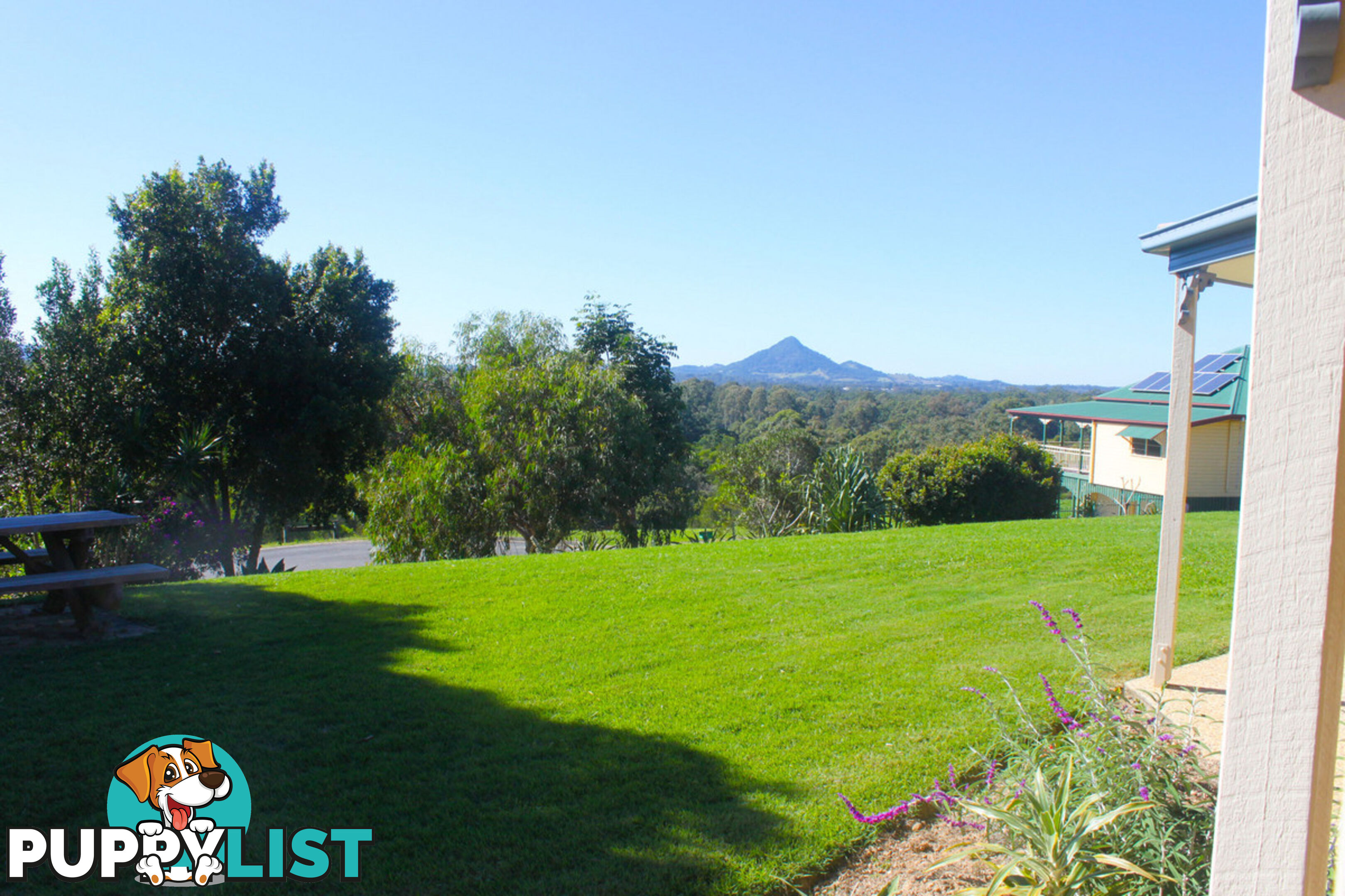 18 Myrtle Court Black Mountain QLD 4563