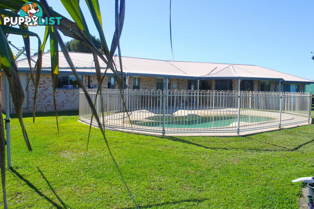 18 Myrtle Court Black Mountain QLD 4563