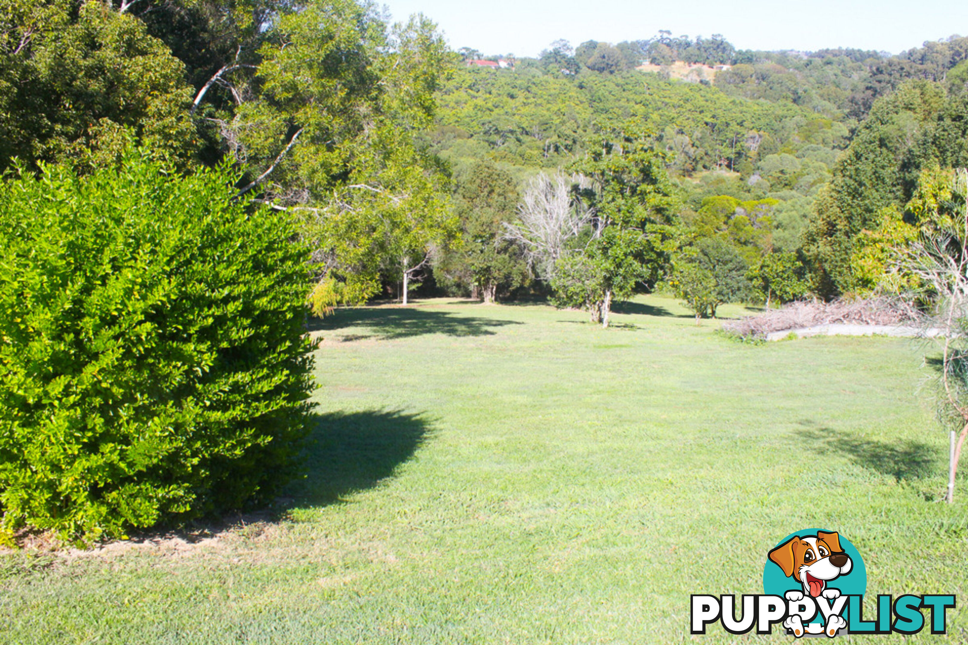 18 Myrtle Court Black Mountain QLD 4563