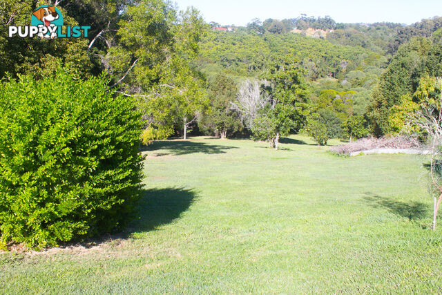 18 Myrtle Court Black Mountain QLD 4563