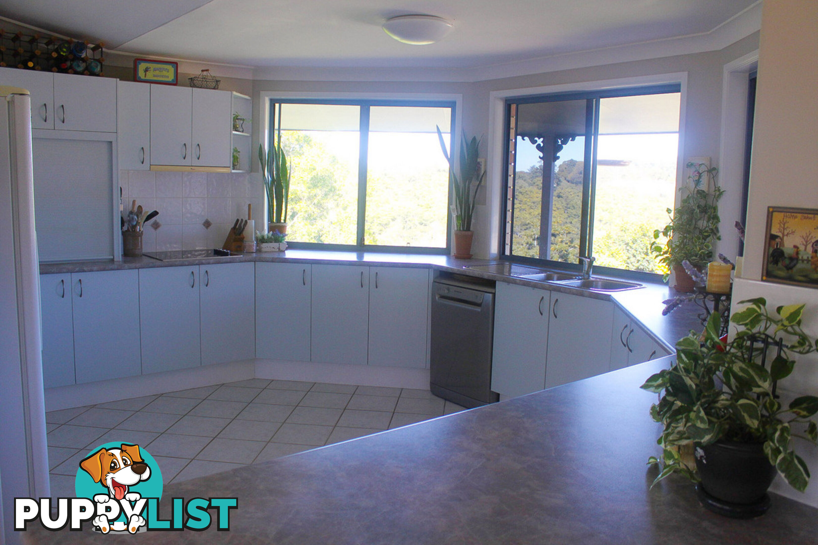 18 Myrtle Court Black Mountain QLD 4563