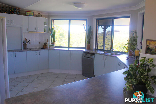 18 Myrtle Court Black Mountain QLD 4563