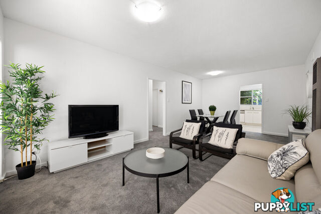 7 141 Buxton Street North Adelaide SA 5006