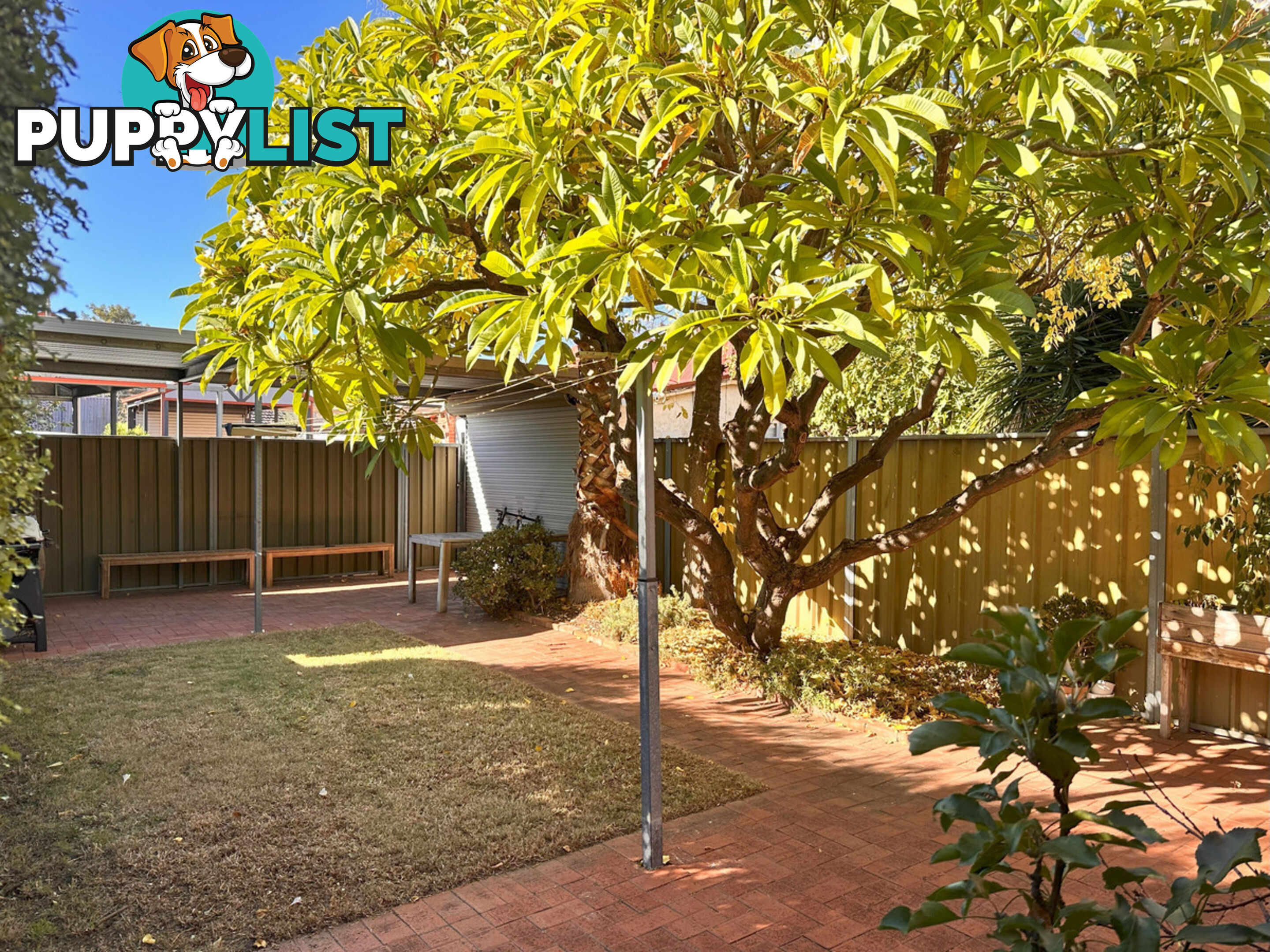 55 First Avenue Forestville SA 5035