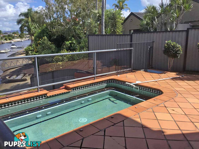 4 Saxonvale Terrace Mermaid Waters QLD 4218