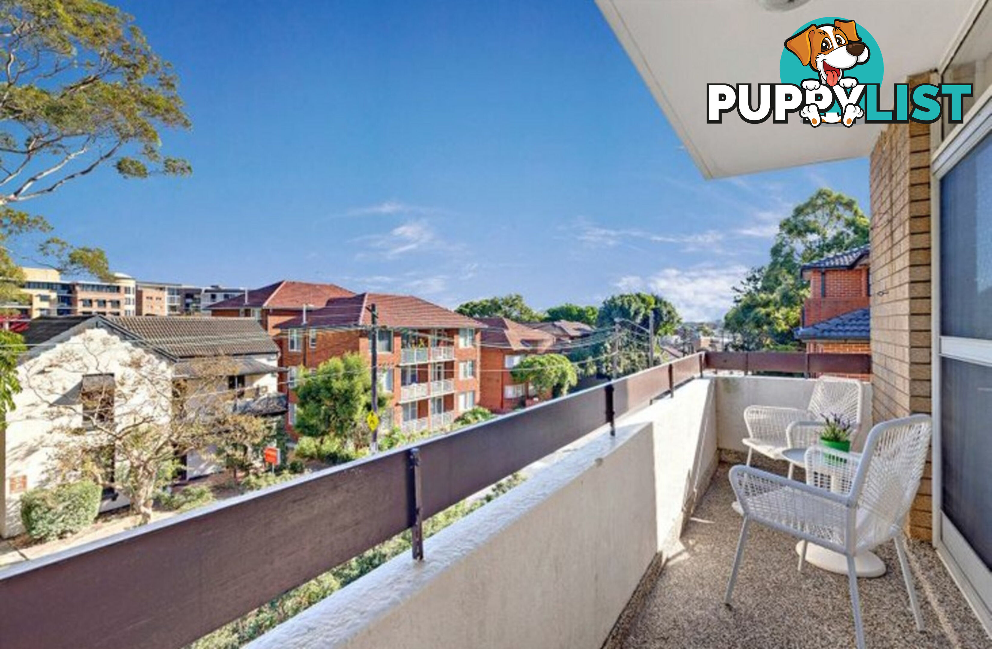 3 23 Elizabeth Street Ashfield NSW 2131