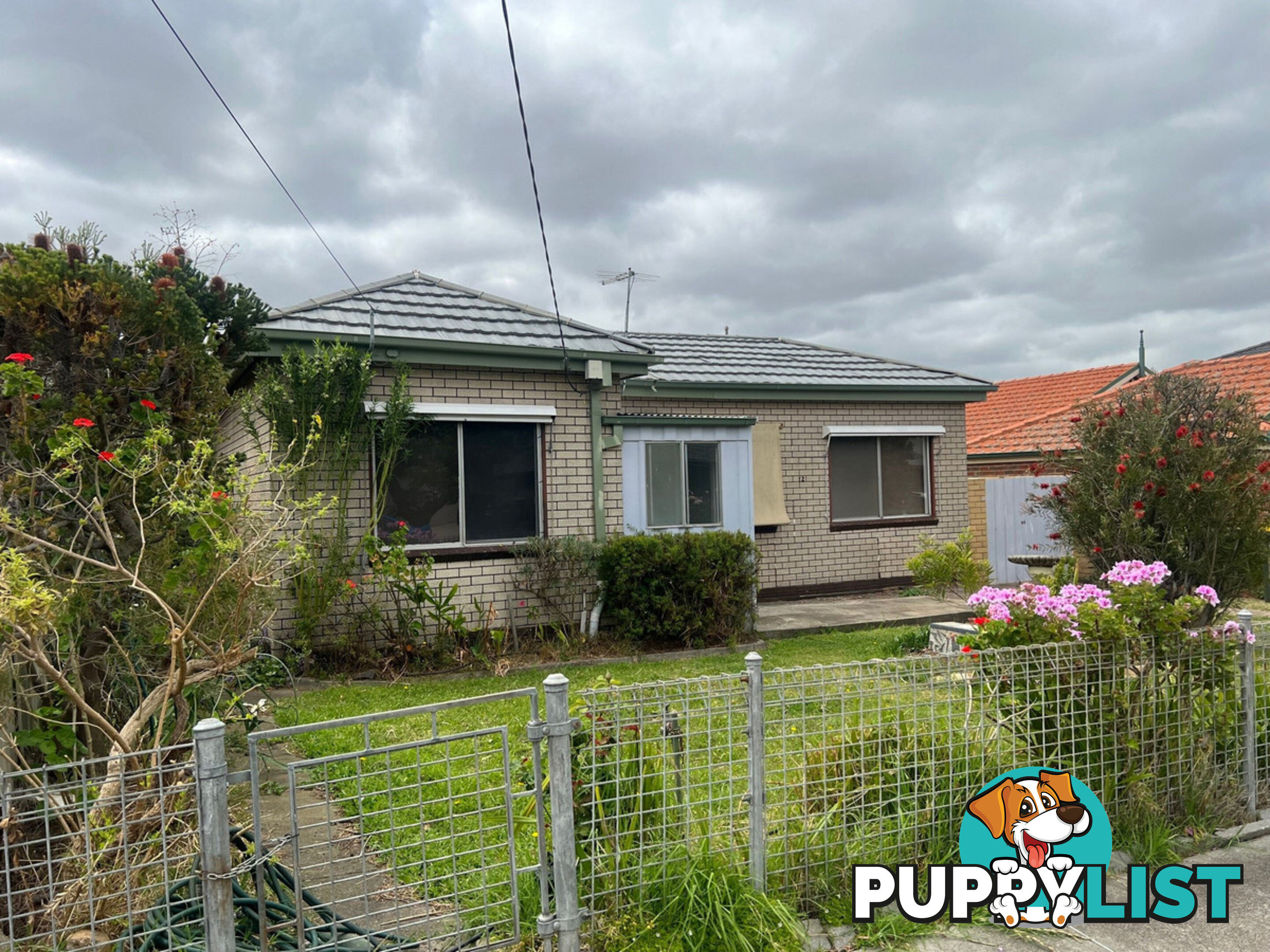 12 Cuthbert Street Niddrie VIC 3042