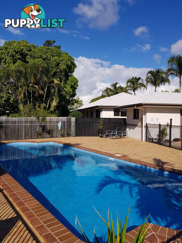 3 9 Watson Street Pialba QLD 4655